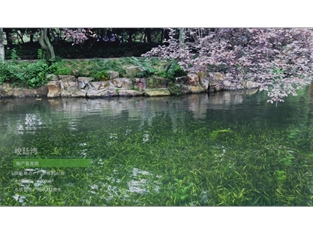 清污分流智慧水治理——峻廷灣整治項(xiàng)目生態(tài)修復(fù)技術(shù)應(yīng)用