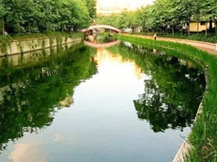 益陽(yáng)大通湖生態(tài)環(huán)境保護(hù)項(xiàng)目