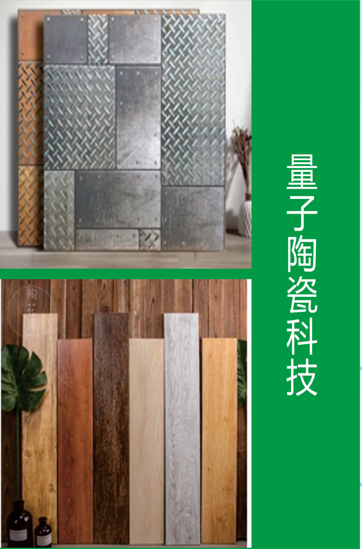 功能特性